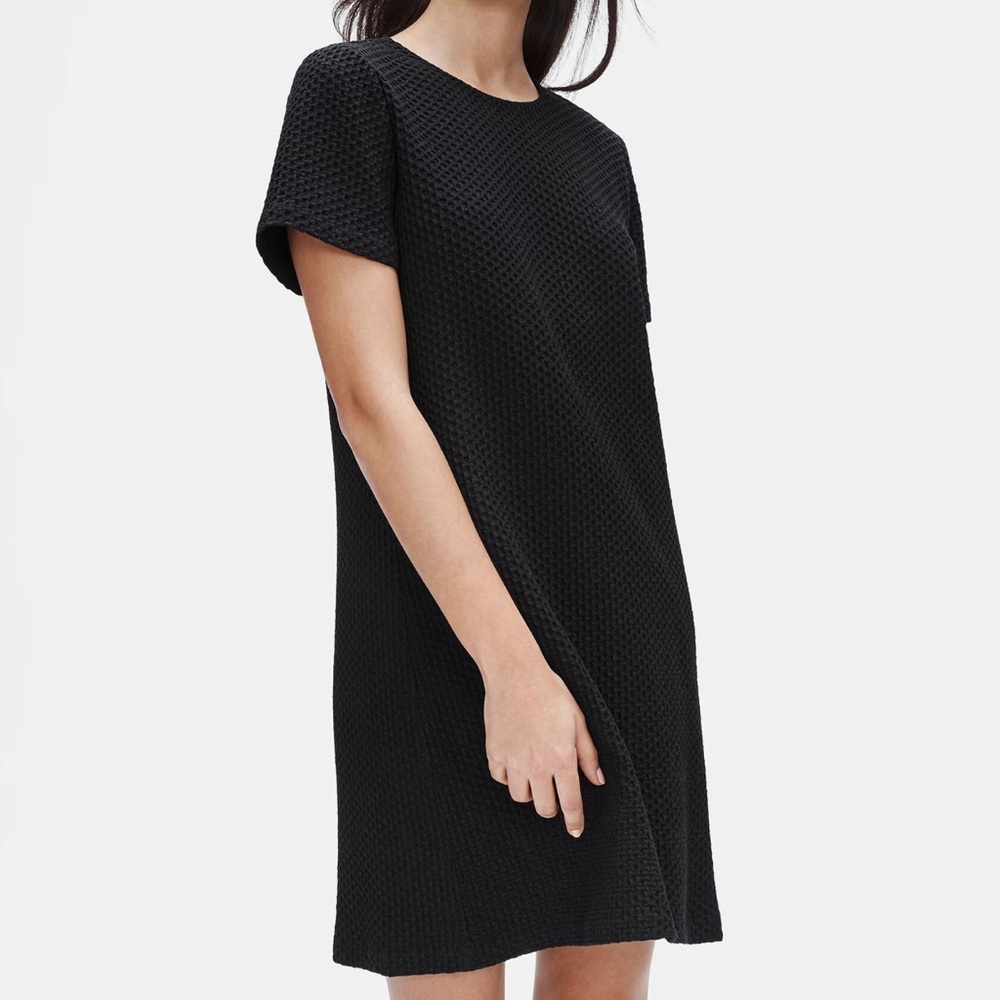 NWOT EILEEN FISHER DRESS XS